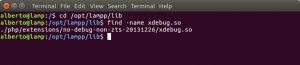 Come attivare XDebug - comando find