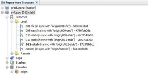 finestra Git Repository Browser di NetBeans