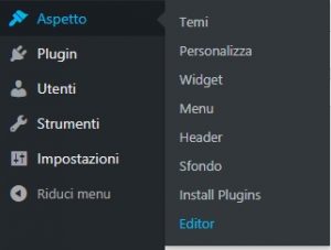 css in wordpress - menu aspetto editor